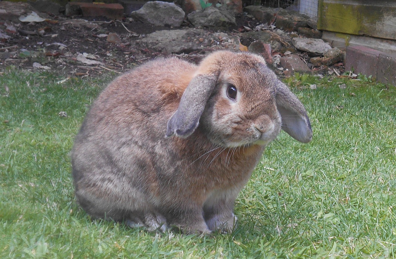 Osterbräuche