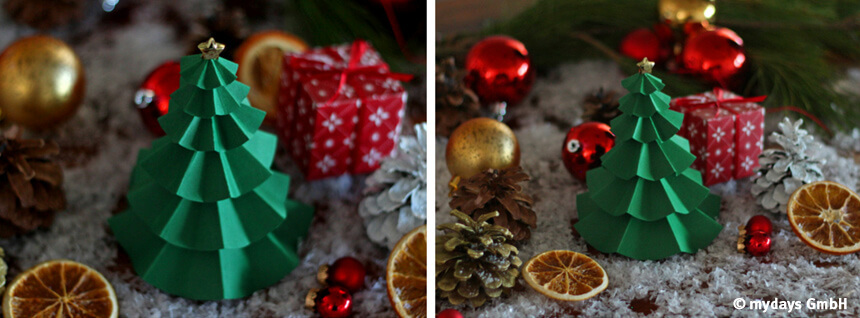 Blogbild_Tannenbaum2