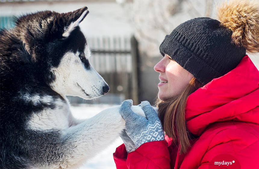 Frau mit Husky