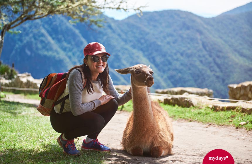 Frau mit Lama